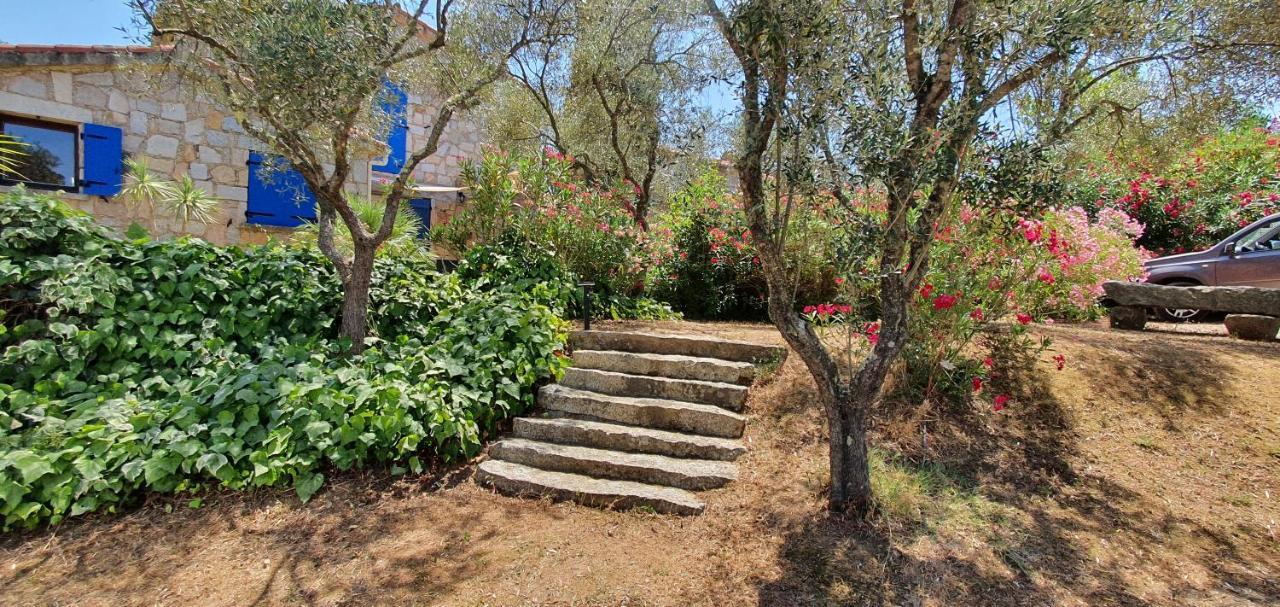Apartmán Casa Erbaggio Sartène Exteriér fotografie